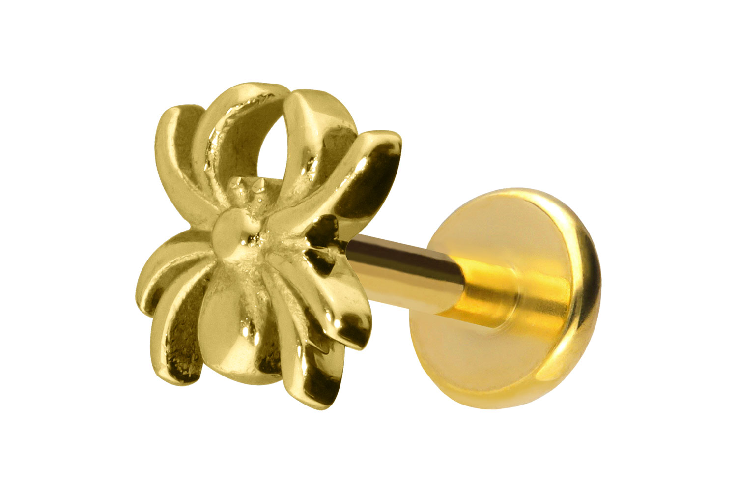 Titan Labret Piercing mit Push Fit SPINNE